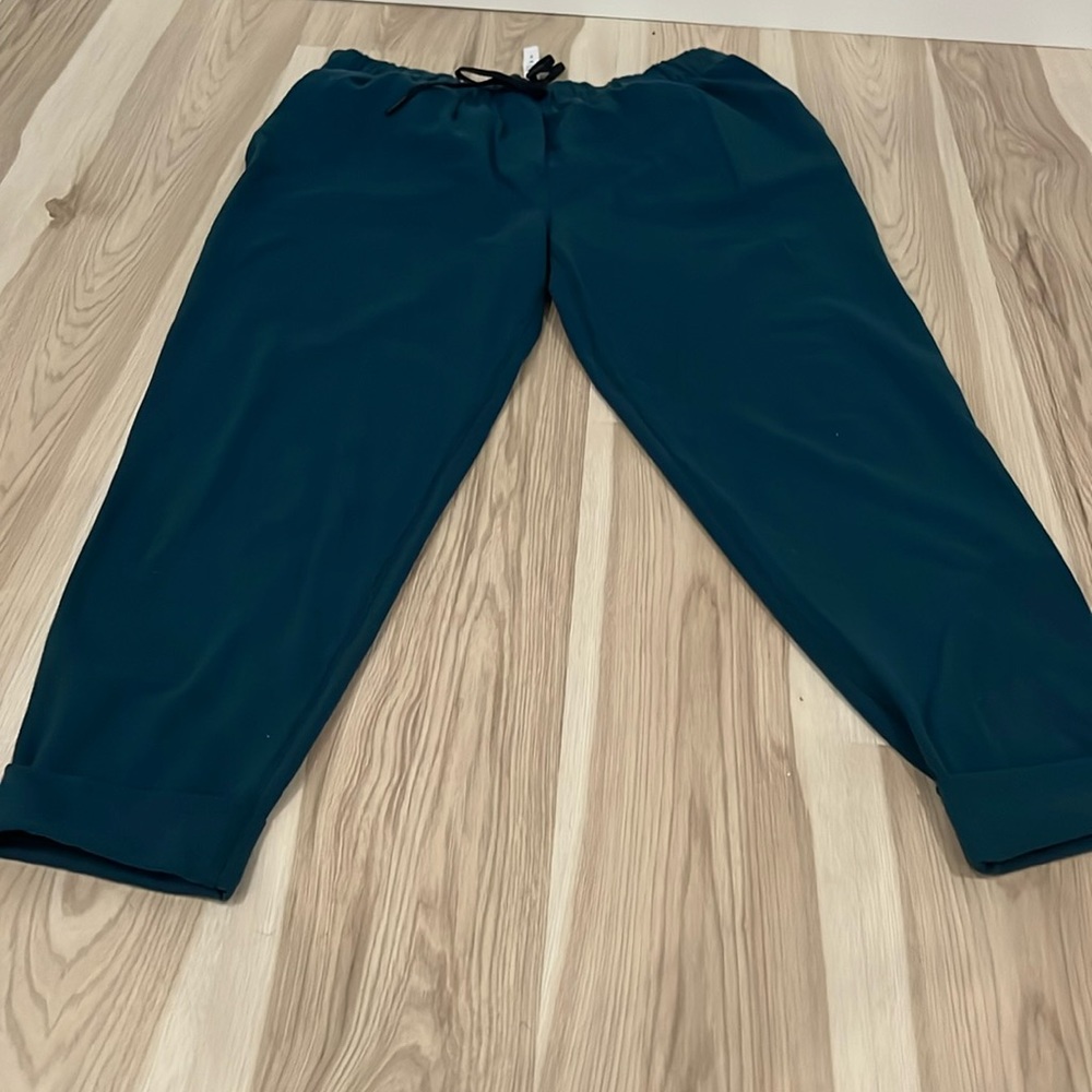 Lululemon Men Pants